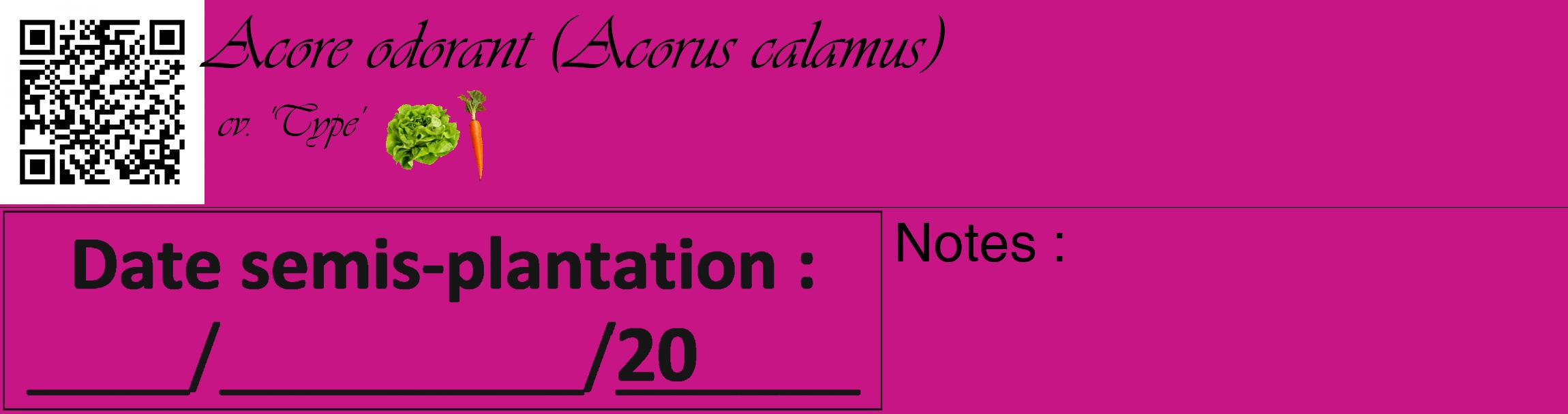 Étiquette de : Acorus calamus cv. 'Type' - format c - style noire45_basique_basiqueviv avec qrcode et comestibilité simplifiée