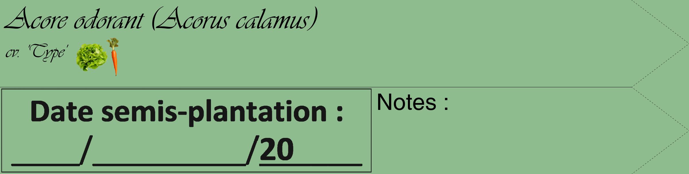 Étiquette de : Acorus calamus cv. 'Type' - format c - style noire13_simple_simpleviv avec comestibilité simplifiée