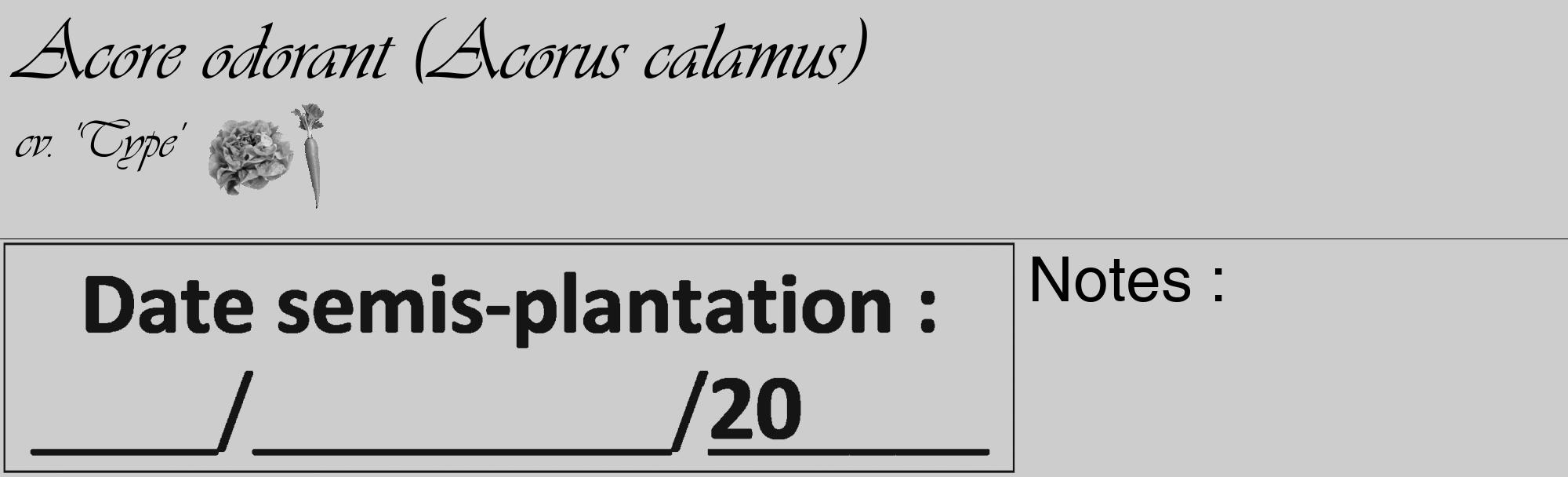 Étiquette de : Acorus calamus cv. 'Type' - format c - style noire41_basique_basiqueviv avec comestibilité simplifiée