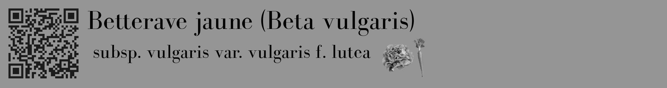 Étiquette de : Beta vulgaris subsp. vulgaris var. vulgaris f. lutea - format c - style noire16_basique_basiquebod avec qrcode et comestibilité simplifiée
