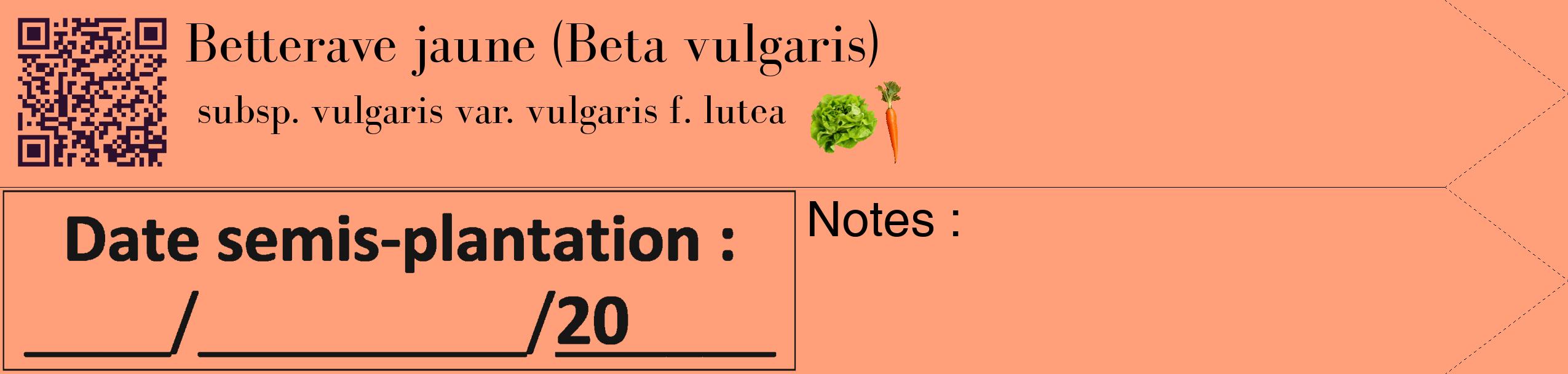 Étiquette de : Beta vulgaris subsp. vulgaris var. vulgaris f. lutea - format c - style noire39_simple_simplebod avec qrcode et comestibilité simplifiée