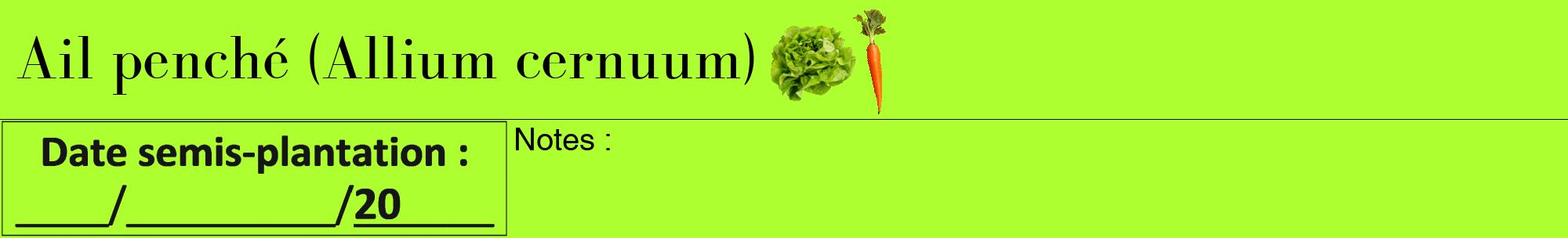 Étiquette de : Allium cernuum - format a - style noire17bod avec comestibilité simplifiée