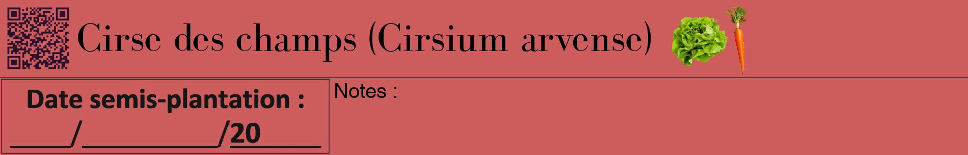 Étiquette de : Cirsium arvense - format a - style noire35basiquebod avec qrcode et comestibilité simplifiée
