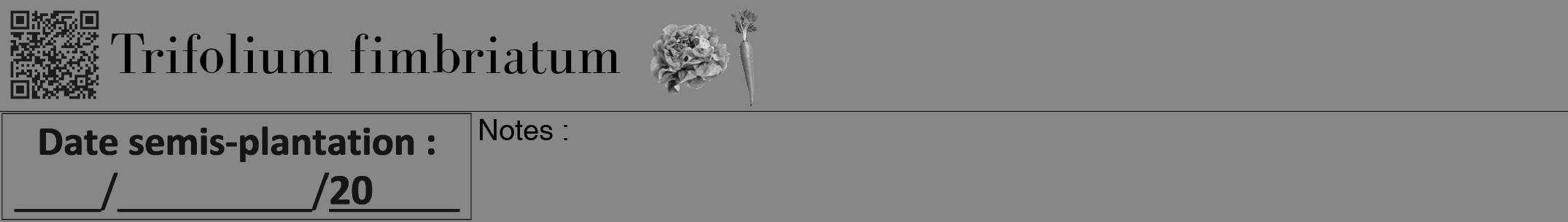 Étiquette de : Trifolium fimbriatum - format a - style noire12bod avec qrcode et comestibilité simplifiée