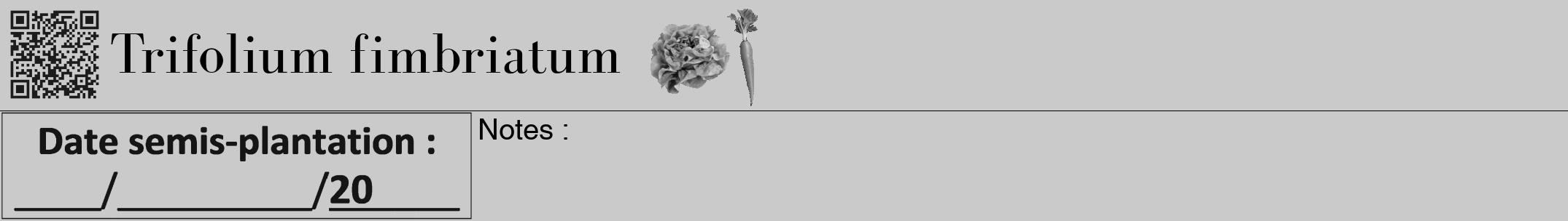Étiquette de : Trifolium fimbriatum - format a - style noire21bod avec qrcode et comestibilité simplifiée