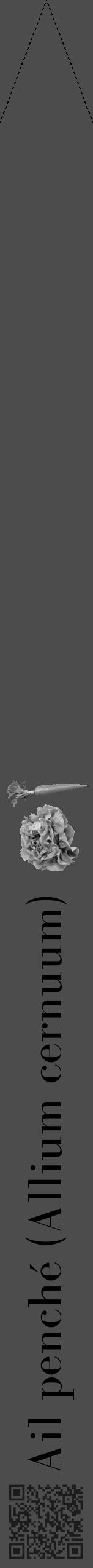 Étiquette de : Allium cernuum - format b - style noire27bod avec qrcode et comestibilité simplifiée - position verticale