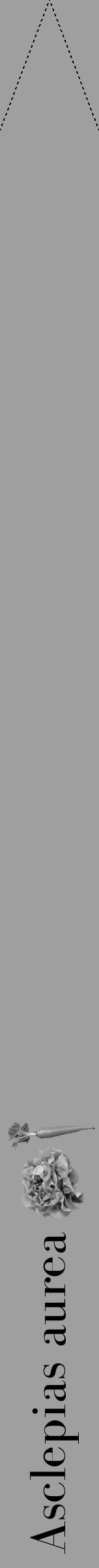 Étiquette de : Asclepias aurea - format b - style noire24bod avec comestibilité simplifiée - position verticale