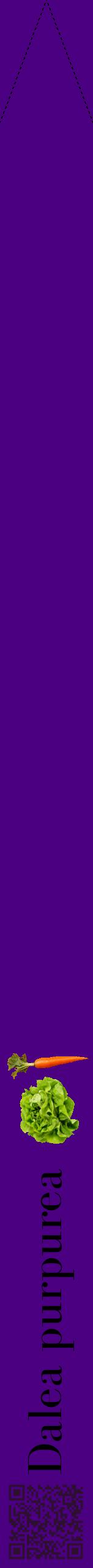 Étiquette de : Dalea purpurea - format b - style noire47bod avec qrcode et comestibilité simplifiée