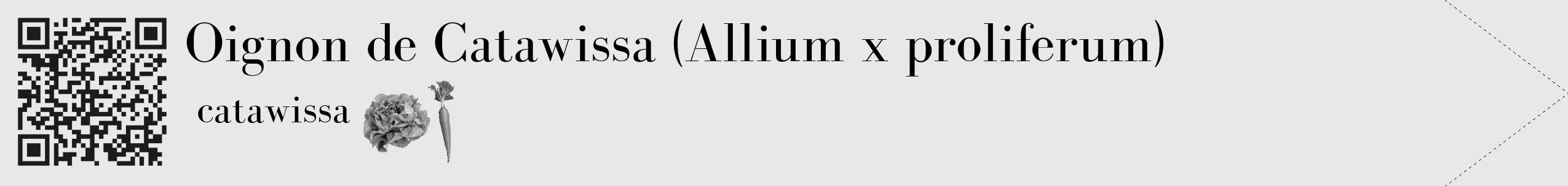 Étiquette de : Allium x proliferum catawissa - format c - style noire55_simple_simplebod avec qrcode et comestibilité simplifiée