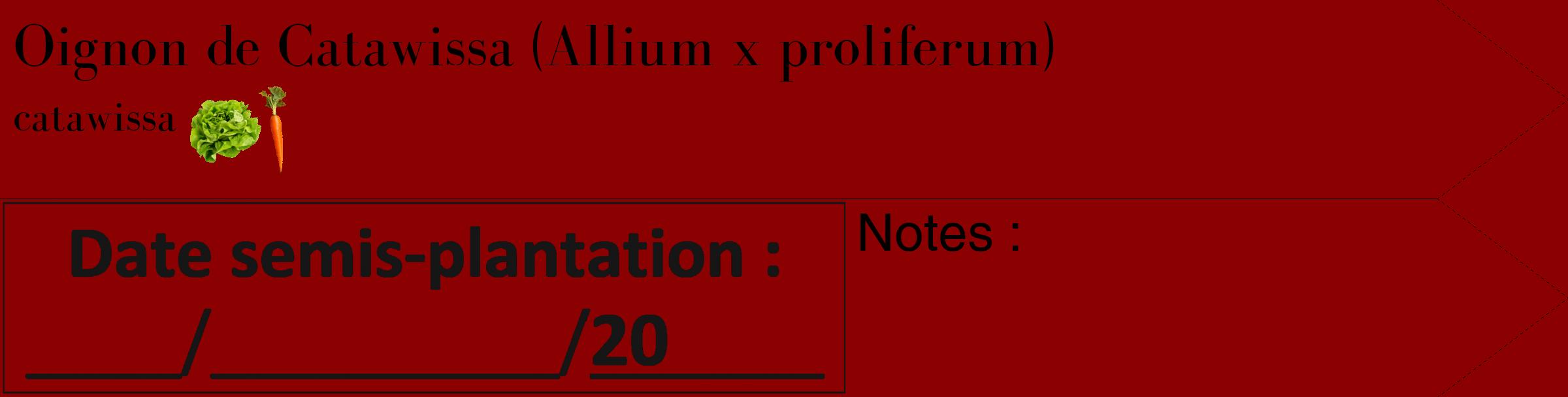Étiquette de : Allium x proliferum catawissa - format c - style noire34_simple_simplebod avec comestibilité simplifiée