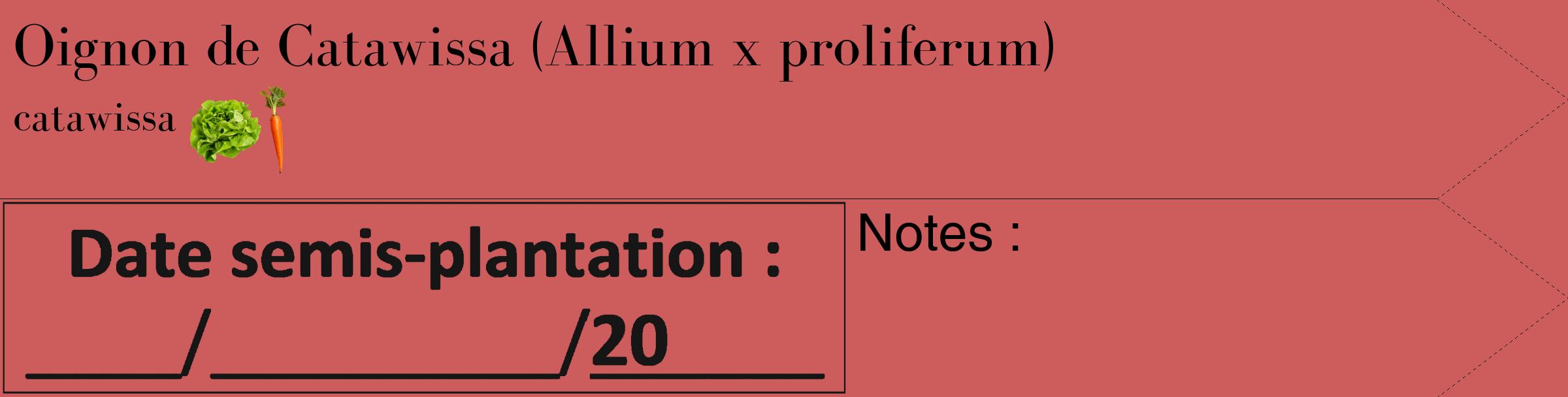 Étiquette de : Allium x proliferum catawissa - format c - style noire35_simple_simplebod avec comestibilité simplifiée
