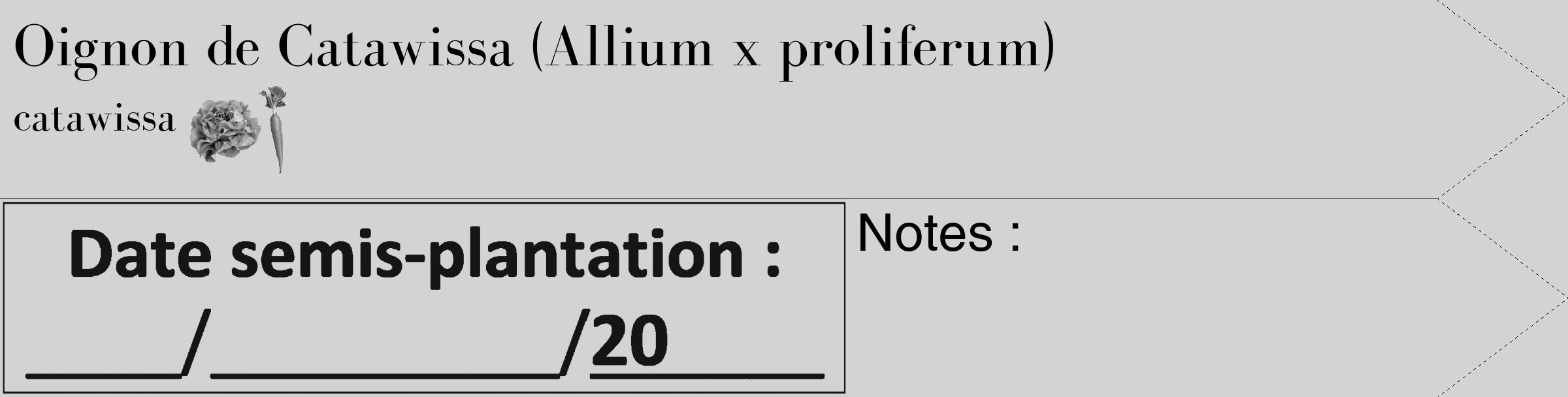 Étiquette de : Allium x proliferum catawissa - format c - style noire56_simple_simplebod avec comestibilité simplifiée