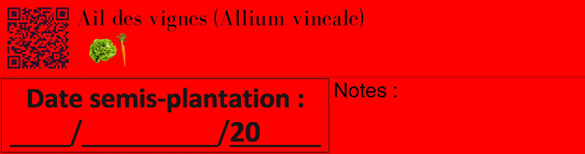 Étiquette de : Allium vineale - format c - style noire27_basique_basiquebod avec qrcode et comestibilité simplifiée
