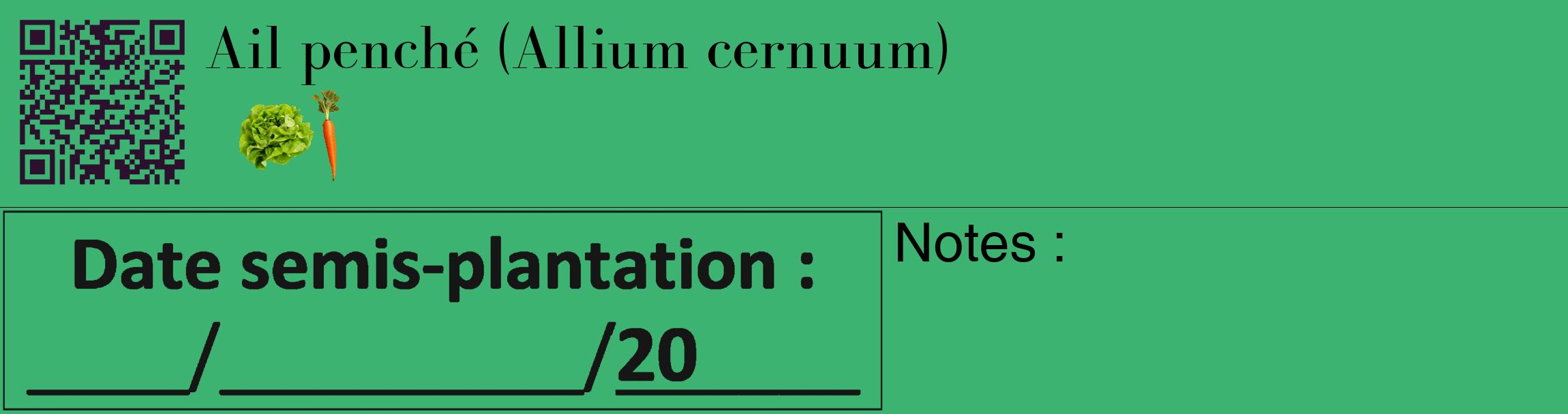 Étiquette de : Allium cernuum - format c - style noire12_basique_basiquebod avec qrcode et comestibilité simplifiée