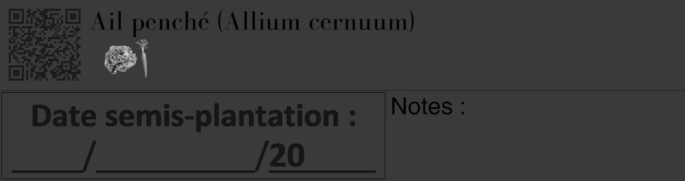 Étiquette de : Allium cernuum - format c - style noire8_basique_basiquebod avec qrcode et comestibilité simplifiée