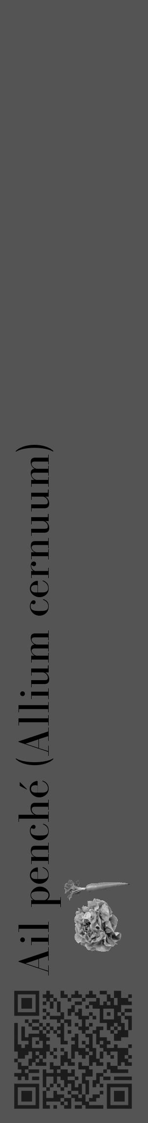 Étiquette de : Allium cernuum - format c - style noire36_basique_basiquebod avec qrcode et comestibilité simplifiée - position verticale