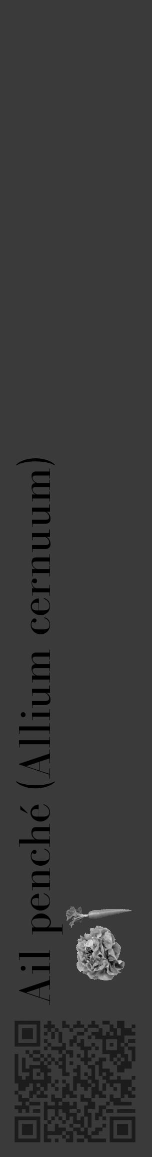 Étiquette de : Allium cernuum - format c - style noire8_basique_basiquebod avec qrcode et comestibilité simplifiée - position verticale