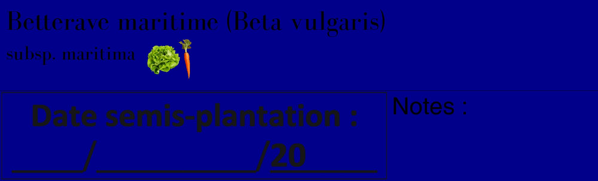 Étiquette de : Beta vulgaris subsp. maritima - format c - style noire7_basique_basiquebod avec comestibilité simplifiée