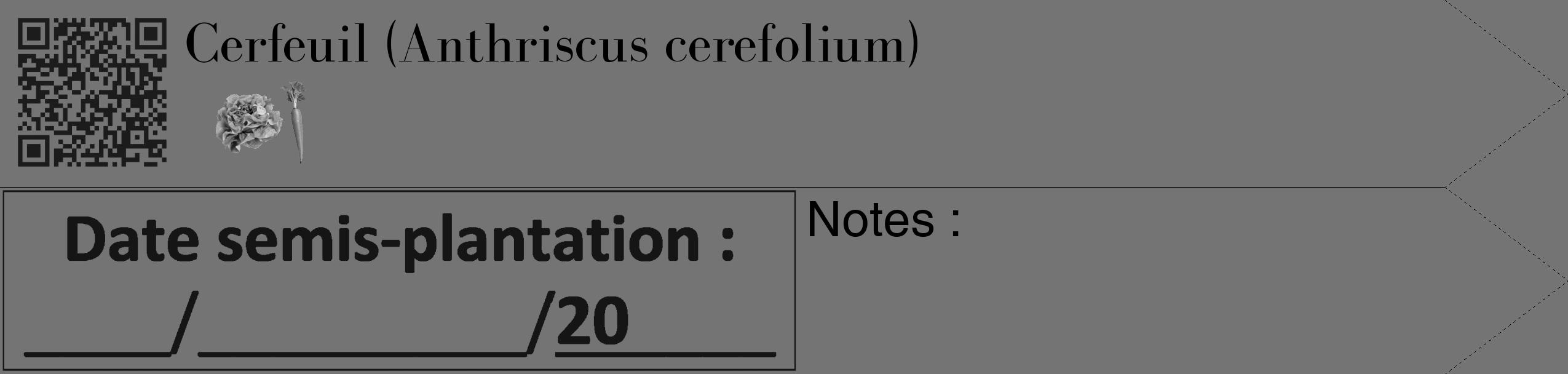 Étiquette de : Anthriscus cerefolium - format c - style noire26_simple_simplebod avec qrcode et comestibilité simplifiée