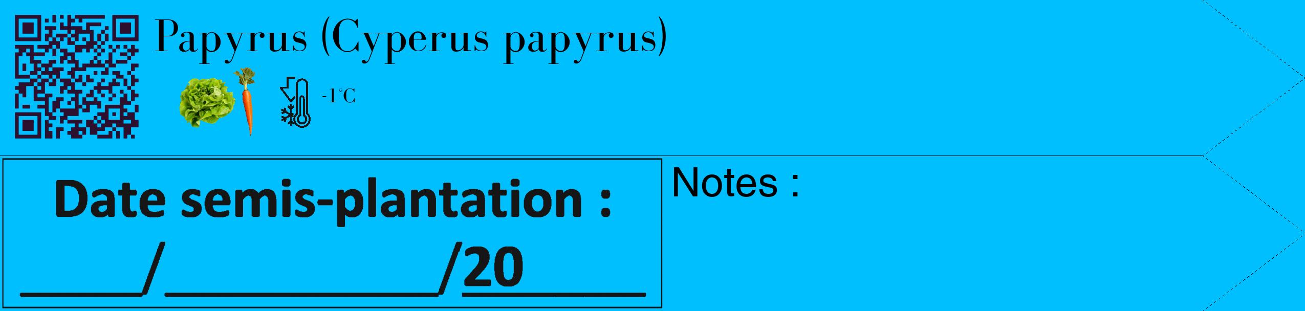 Étiquette de : Cyperus papyrus - format c - style noire2_simple_simplebod avec qrcode et comestibilité simplifiée