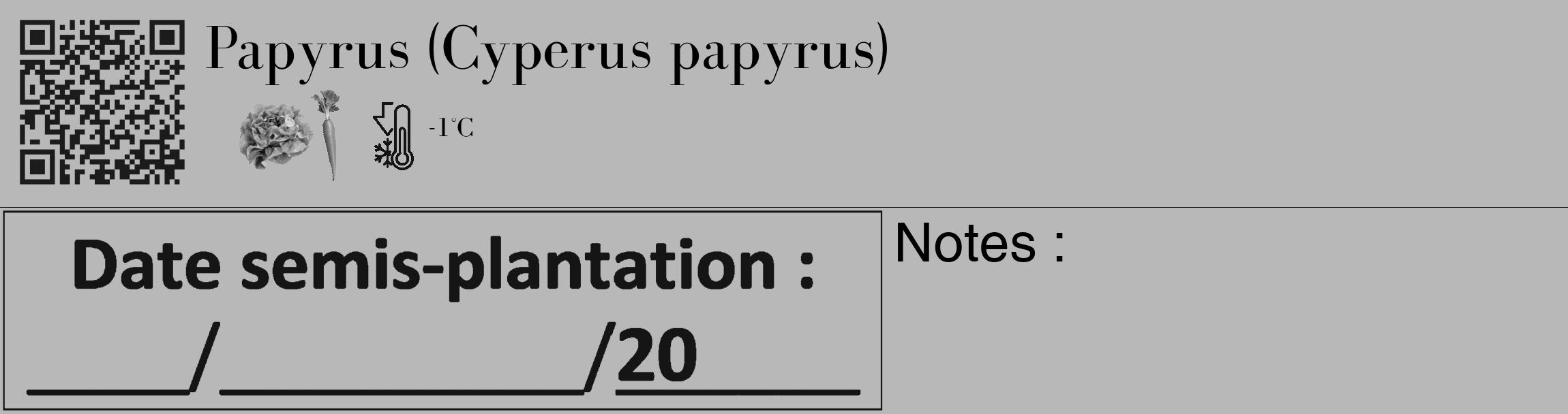 Étiquette de : Cyperus papyrus - format c - style noire39_basique_basiquebod avec qrcode et comestibilité simplifiée