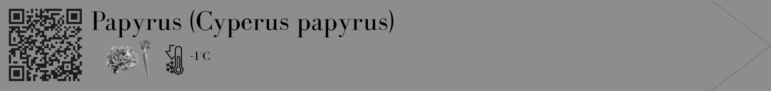 Étiquette de : Cyperus papyrus - format c - style noire2_simple_simplebod avec qrcode et comestibilité simplifiée