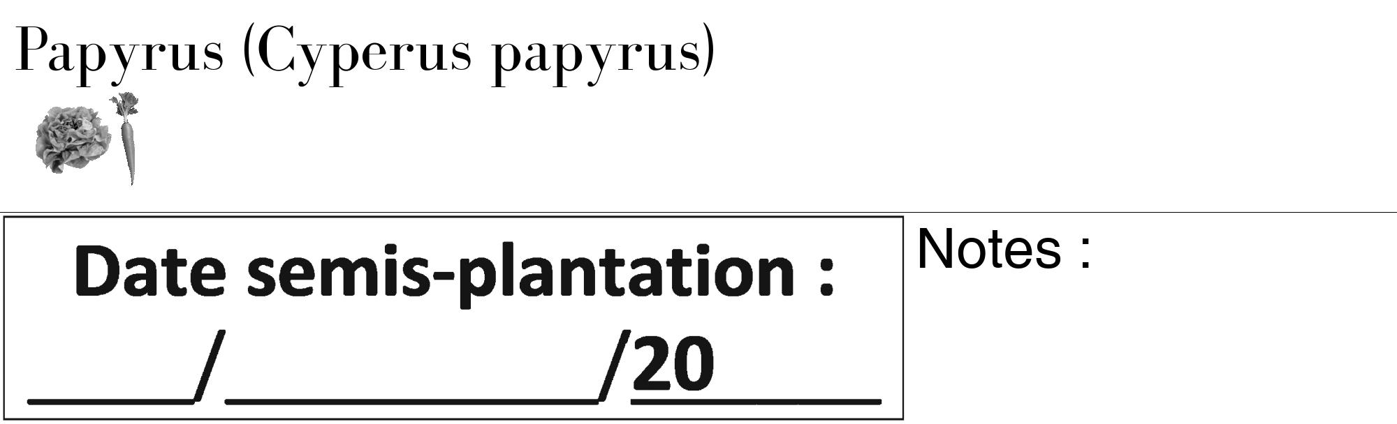 Étiquette de : Cyperus papyrus - format c - style noire60_basique_basiquebod avec comestibilité simplifiée