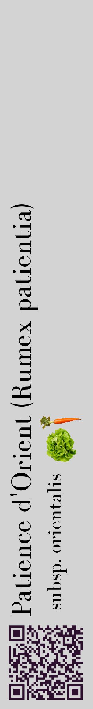 Étiquette de : Rumex patientia subsp. orientalis - format c - style noire56_basiquebod avec qrcode et comestibilité simplifiée