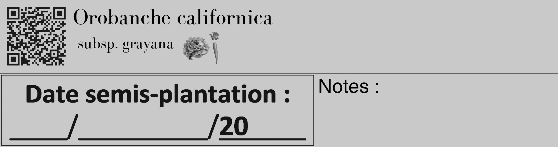 Étiquette de : Orobanche californica subsp. grayana - format c - style noire54_basique_basiquebod avec qrcode et comestibilité simplifiée