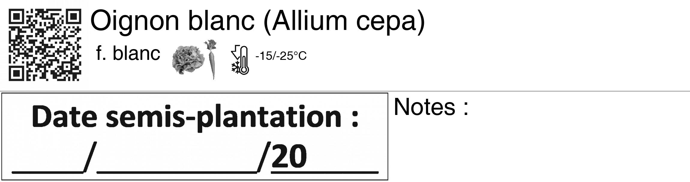Étiquette de : Allium cepa f. blanc - format c - style noire60_basiquegrrvhel avec qrcode et comestibilité simplifiée