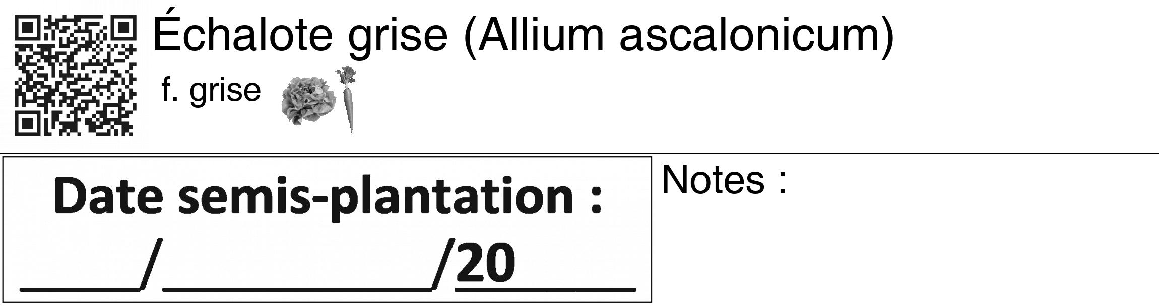 Étiquette de : Allium ascalonicum f. grise - format c - style noire60_basiquegrrvhel avec qrcode et comestibilité simplifiée