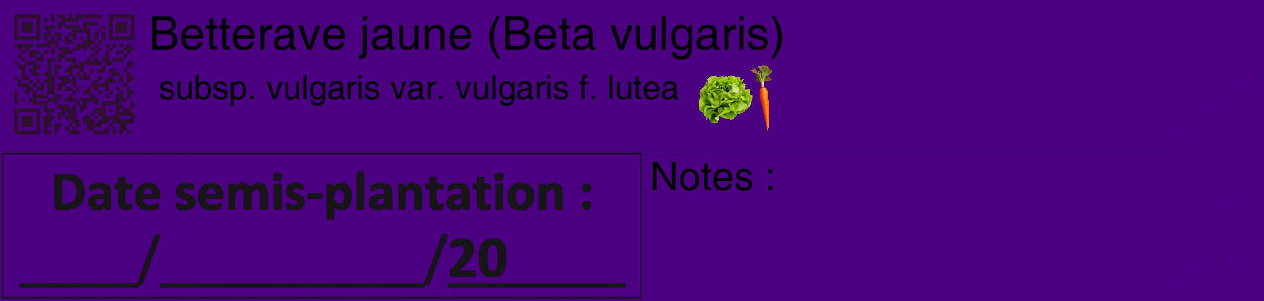 Étiquette de : Beta vulgaris subsp. vulgaris var. vulgaris f. lutea - format c - style noire47_simple_simplehel avec qrcode et comestibilité simplifiée