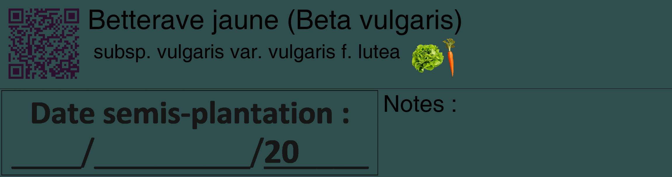 Étiquette de : Beta vulgaris subsp. vulgaris var. vulgaris f. lutea - format c - style noire58_basique_basiquehel avec qrcode et comestibilité simplifiée