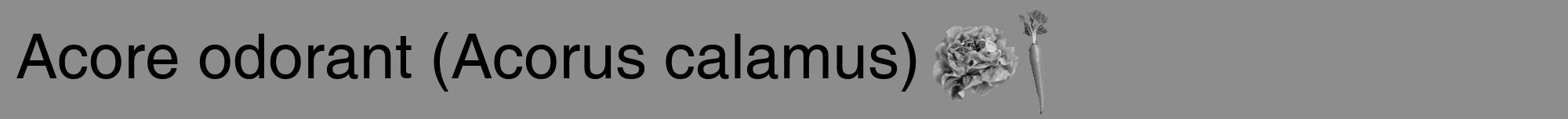 Étiquette de : Acorus calamus - format a - style noire2hel avec comestibilité simplifiée