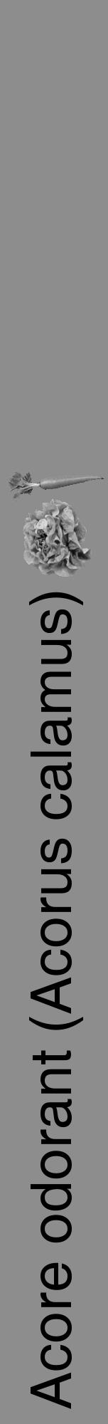 Étiquette de : Acorus calamus - format a - style noire2hel avec comestibilité simplifiée - position verticale