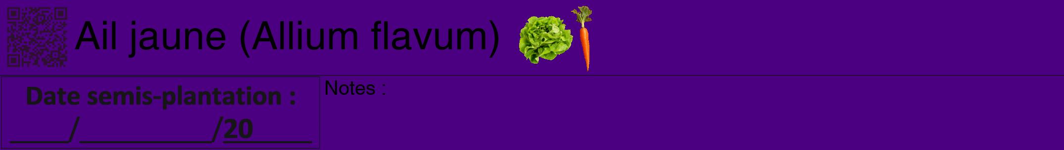 Étiquette de : Allium flavum - format a - style noire47hel avec qrcode et comestibilité simplifiée