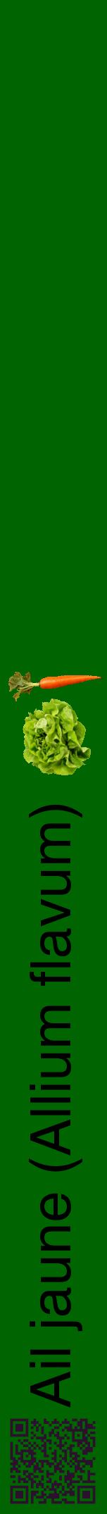 Étiquette de : Allium flavum - format a - style noire8hel avec qrcode et comestibilité simplifiée