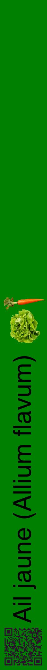 Étiquette de : Allium flavum - format a - style noire9hel avec qrcode et comestibilité simplifiée