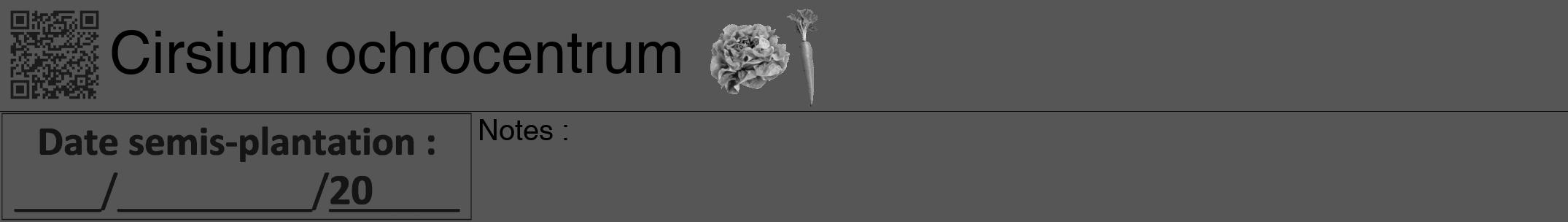 Étiquette de : Cirsium ochrocentrum - format a - style noire45hel avec qrcode et comestibilité simplifiée