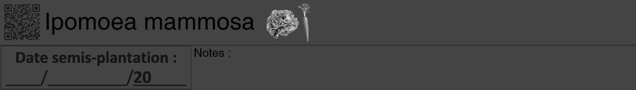 Étiquette de : Ipomoea mammosa - format a - style noire48hel avec qrcode et comestibilité simplifiée