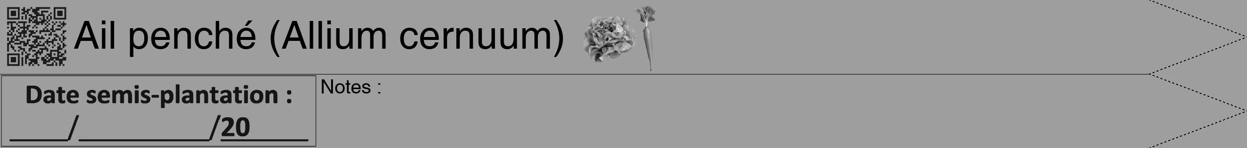 Étiquette de : Allium cernuum - format b - style noire23hel avec qrcode et comestibilité simplifiée