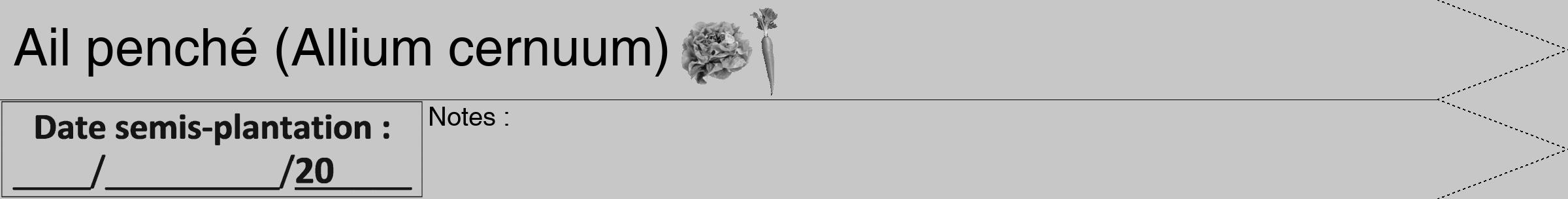 Étiquette de : Allium cernuum - format b - style noire15hel avec comestibilité simplifiée