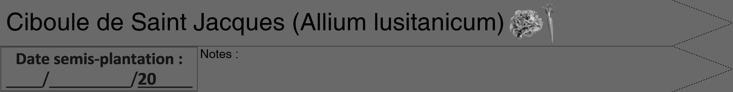 Étiquette de : Allium lusitanicum - format b - style noire11hel avec comestibilité simplifiée