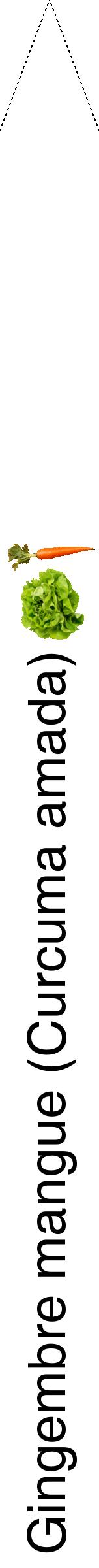 Étiquette de : Curcuma amada - format b - style noire60hel avec comestibilité simplifiée