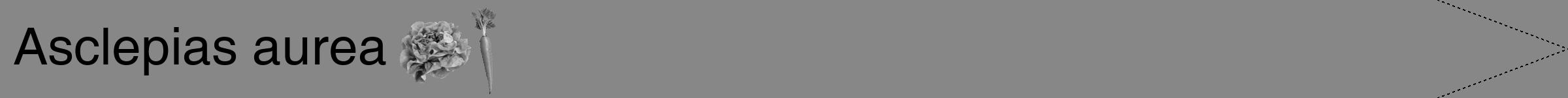Étiquette de : Asclepias aurea - format b - style noire12hel avec comestibilité simplifiée