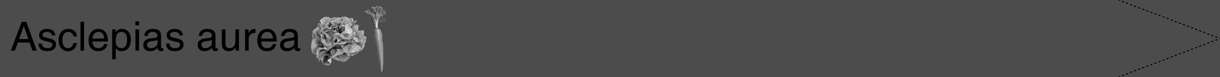 Étiquette de : Asclepias aurea - format b - style noire27hel avec comestibilité simplifiée