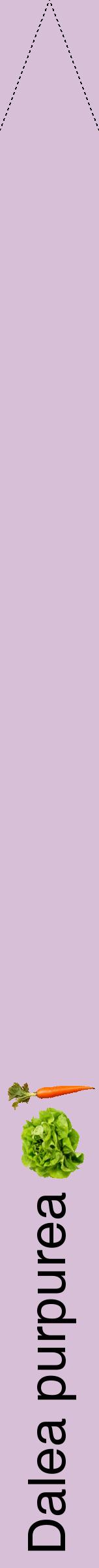 Étiquette de : Dalea purpurea - format b - style noire54hel avec comestibilité simplifiée