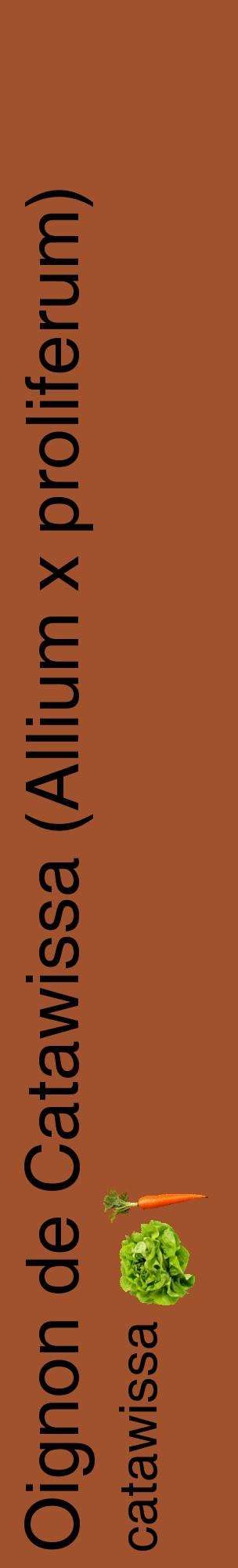 Étiquette de : Allium x proliferum catawissa - format c - style noire32_basiquehel avec comestibilité simplifiée