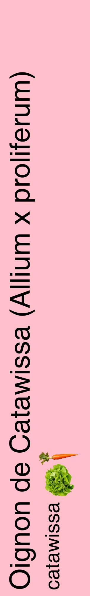 Étiquette de : Allium x proliferum catawissa - format c - style noire40_basiquehel avec comestibilité simplifiée