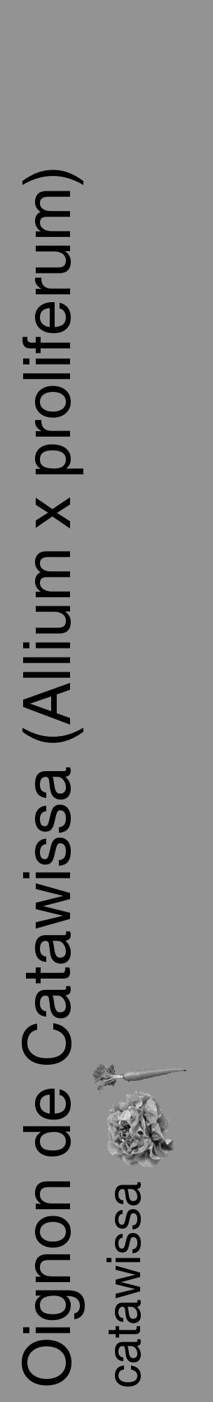 Étiquette de : Allium x proliferum catawissa - format c - style noire44_basique_basiquehel avec comestibilité simplifiée - position verticale